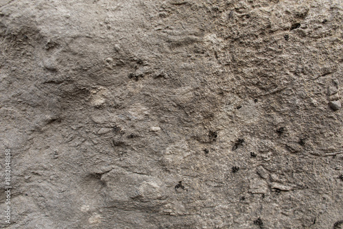 Foto superficie rocciosa naturale grigia, ruvida, asciutta e con vari punti in riliev