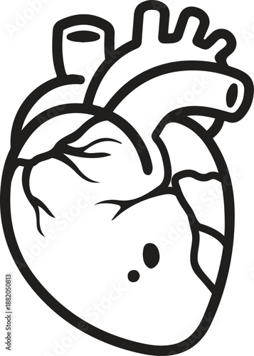 Human heart anatomically correct hand drawn line art and dotwork. Flash tattoo or print design vector illustration.