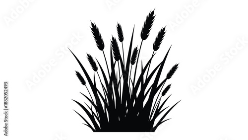 a detailed black and white silhouette of a cluster of tall reeds or grass