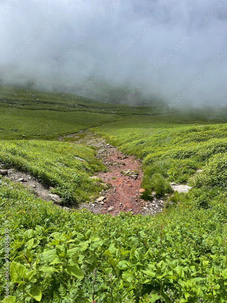 Naklejka premium Path winds through green hills under cloudy sky in mountains during daytime