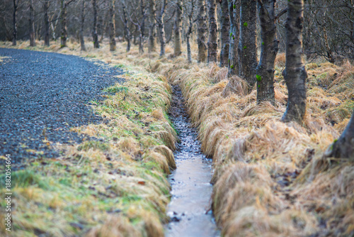 Country gravel road with a water ditch and a row of bare trees in a rural landscape during early spring or late autumn