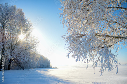Photos Beautiful winter scenery with frosty trees