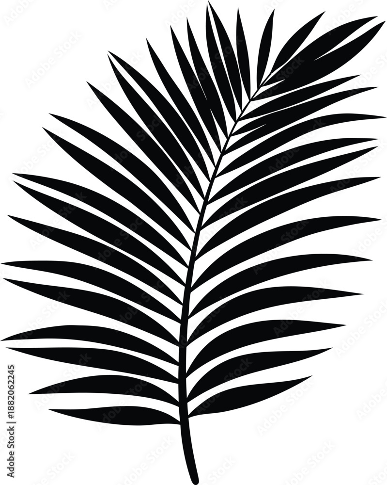 Fototapeta premium Palm leaf summer silhouette illustration.