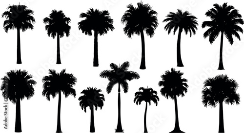 Collection of diverse palm tree silhouettes against a white background