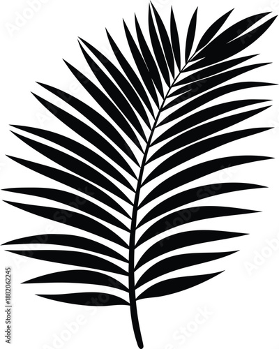 Palm leaf summer silhouette illustration.