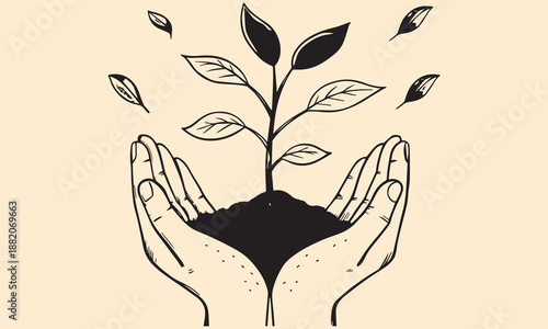 Hands Holding Growing Plant – Symbol of Growth, Care, and Sustainability .