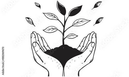 Hands Holding Growing Plant – Symbol of Growth, Care, and Sustainability .