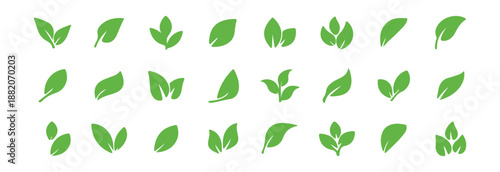 Set of green leaf icon 
