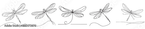 dragonfly vector continuous line style
