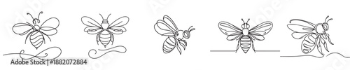 continuous line style bee vector