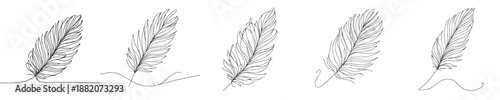 vector set of continuous line goose feathers