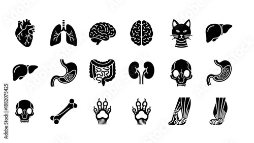 A professional set of 18 black minimalist icons illustrating cat anatomy and animal organs, arranged in a clean grid layout.