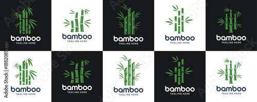 set bamboo logos design set template. leaf tree bambo logo inspiration.