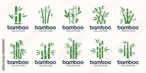 creative of collection green bamboo tree logos. tree bamboo leaves vertical growth design element vector inspiration.