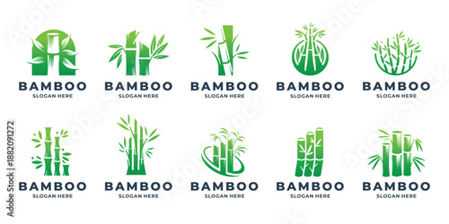 creative of collection green bamboo tree logos. tree bamboo leaves vertical growth design element vector inspiration.