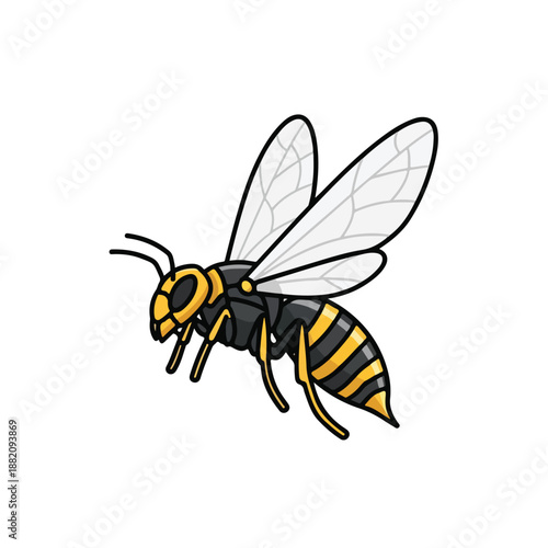 Flying Insect with Yellow and Black Stripes on White Background