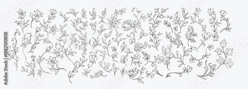Vintage floral elements line art set. Whimsical, elegant branches, flowers and leaves sketches for wedding invitation decor, frames, wreaths, greeting card, books, save the date. Victorian plants set.