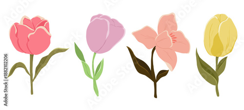 hand drawn tulips vector set in various colors, vector illustration.