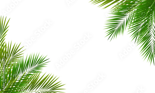 Eco Frame And Green Palm Tree Leaves