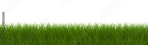 Green Grass Border With White Background