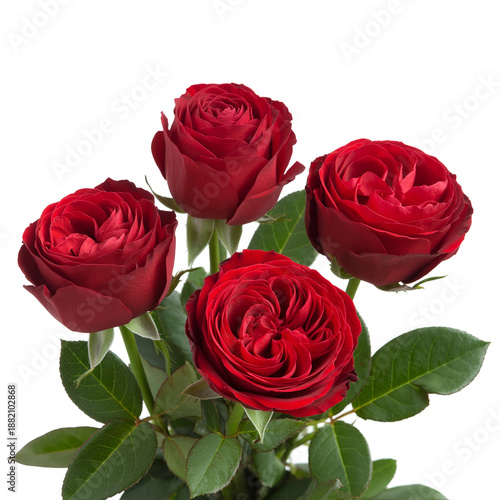 bunch of red roses