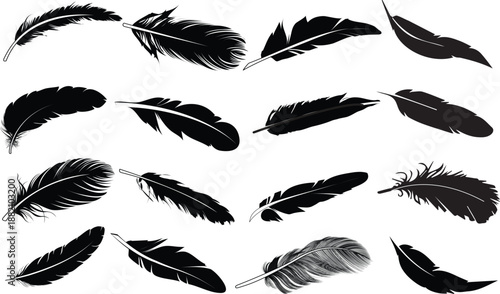 Collection of black feather silhouettes on white background