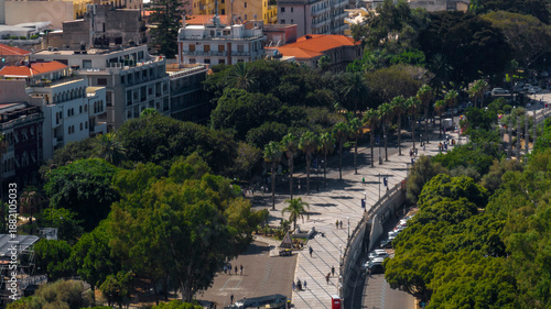Foto High-angle aerial view of a wide pedestrian promenade lined with palm trees and dense green foliage