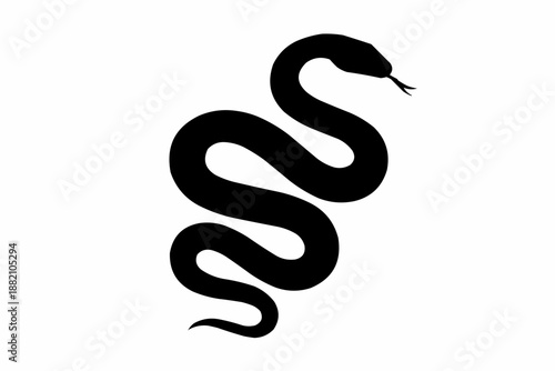 Wallpaper Mural Vector illustration of a cute black swan tattoo and a 2013 year of the snake serpent silhouette design for a wildlife character sign Torontodigital.ca