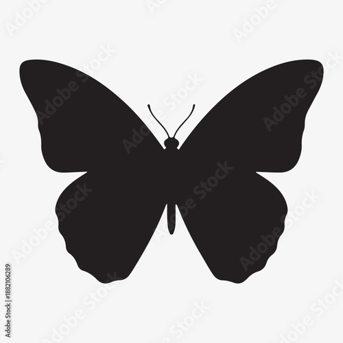 Butterfly silhouette