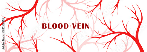 Human Blood Vein System  Abstract Medical Graphic