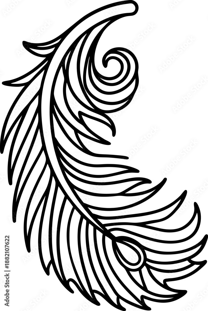 Obraz premium intricate black and white feather illustration with decorative swirling and flowing lines design