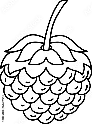 Black and white illustration of a single wild raspberry fruit with stem and detailed segments