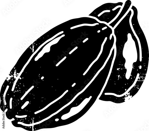 Cacao pods illustration with one whole and one half showing seeds inside in vintage