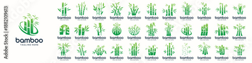 mega collection of bamboo tree logos. set of icon bamboo leaves gradient green color branding.