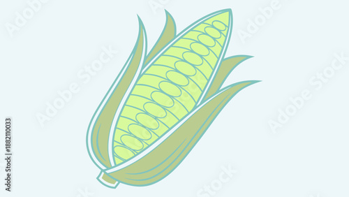 Corn Cob with Green Husks on Light Blue Background