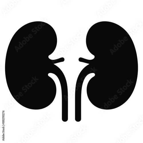 Kidney Nephrology Silhouette Icon in Clean Vector Design on white background