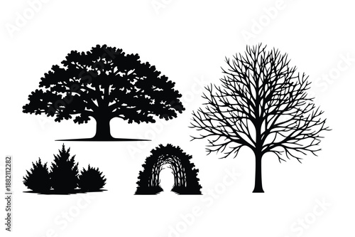 Silhouette Collection of Deciduous Trees and Garden Shrubs