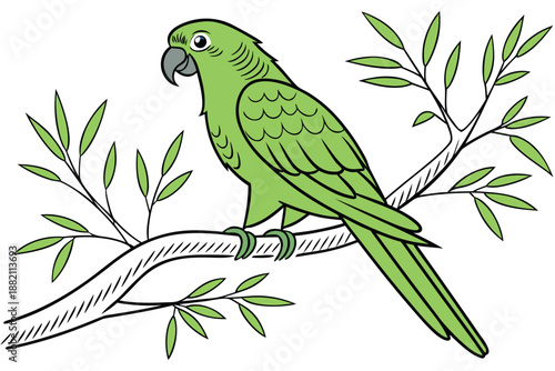 vector illustration of a parrot
