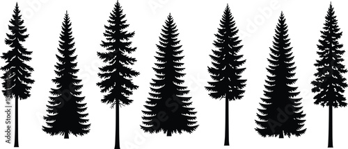 Black Pine Tree Silhouettes Collection, Evergreen Conifer Forest Set, Minimalist Nature Fir Elements, Spruce Timber Graphics