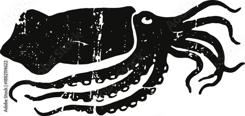 Vintage black squid illustration with detailed tentacles and textured body