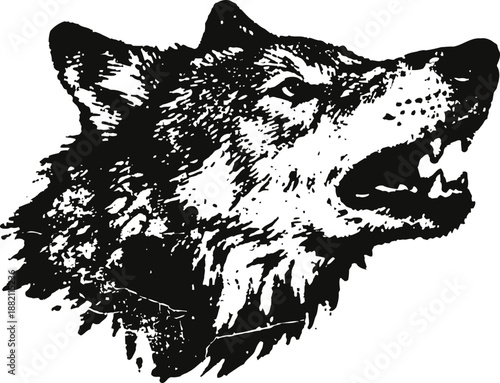 roaring wolf head illustration wild animal snarling with open mouth, showing sharp teeth and intense gaze