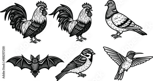 Black and white illustrations of flying animals including roosters, pigeon, bat, sparrow, and hummingbird, ideal for wildlife design, nature graphics, and vector artwork.