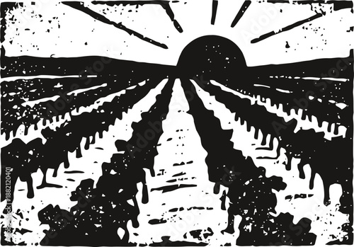 Silhouette of vineyard rows with rising sun in rustic vintage