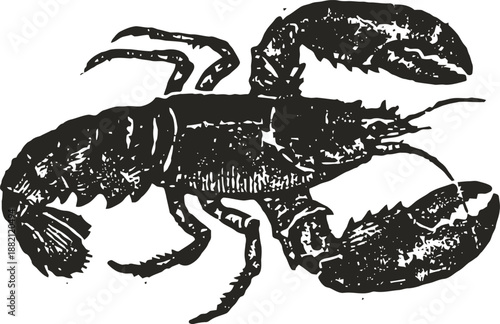 lobster illustration in black and white with detailed claws and segmented body design