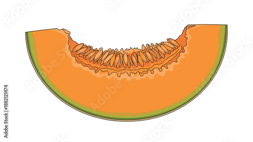 Ripe slice of fresh cantaloupe melon wedge shows bright orange flesh and numerous small seeds on a plain white isolated background.