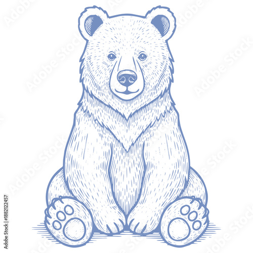 A blue line drawing of a sitting bear on a with detailed fur texture