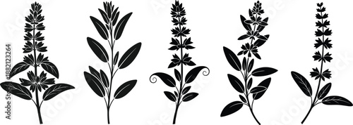 Floral Embellishments: Elegant monochrome illustrations of various plant sprigs, showcasing detailed botanical artistry and natural charm.