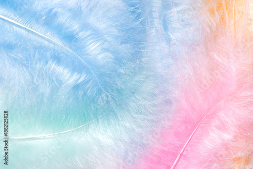 Soft pastel feather background with gentle colorful hues