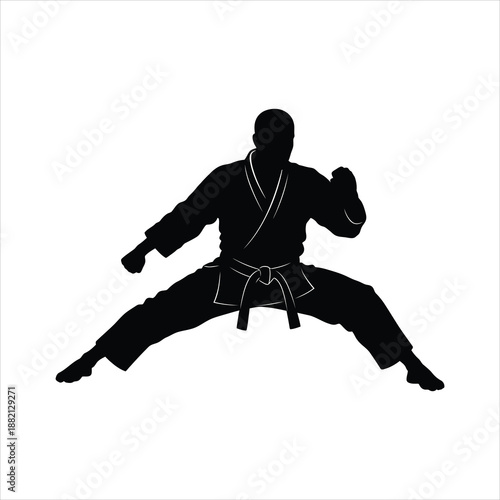 a black silhouette of a martial artist in a karate stance against a white background