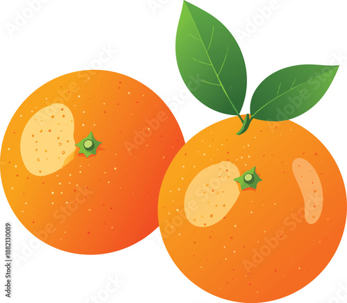 Two vibrant, fresh oranges, one with green leaves, depicted against a clean white background, showcasing their bright citrus color and healthy appearance.